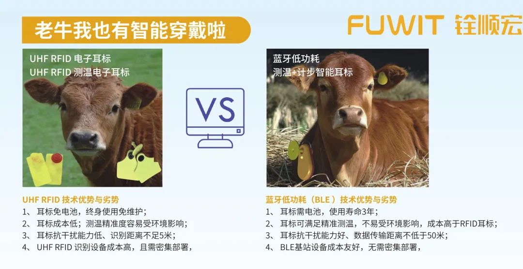 养殖业的新科技：牛羊猪也有智能穿戴设备啦